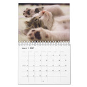 Niedlich Kittens Pet Foto Kalender (Mär 2027)