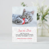 Niedlich Kitty Bittet eine rote Weihnachtsmannmütz Save The Date (Stehend Vorderseite)