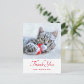 Niedlich Kitty Cat Biting Red Weihnachtsmannmütze  Postkarte (Stehend Vorderseite)