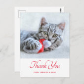 Niedlich Kitty Cat Biting Red Weihnachtsmannmütze  Postkarte (Vorne/Hinten)