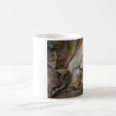 Niedlich Kitty Morph Tasse (Mittel)