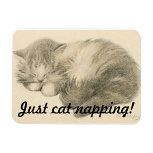 Niedlich Kitty Napping Magnet