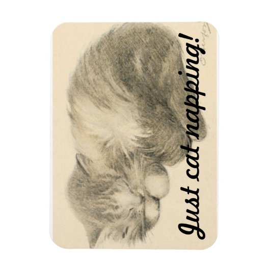 Niedlich Kitty Napping Magnet (Vertikal)
