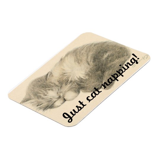 Niedlich Kitty Napping Magnet (Linke Seite)
