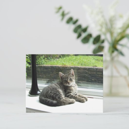 Niedlich Kitty Postkarte (Stehend Vorderseite)