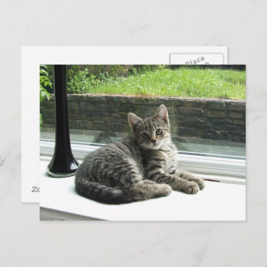 Niedlich Kitty Postkarte (Vorne/Hinten)