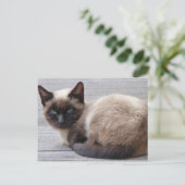 Niedlich Kitty Postkarte (Stehend Vorderseite)