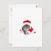 Niedlich Kitty! Postkarte (Vorne/Hinten)