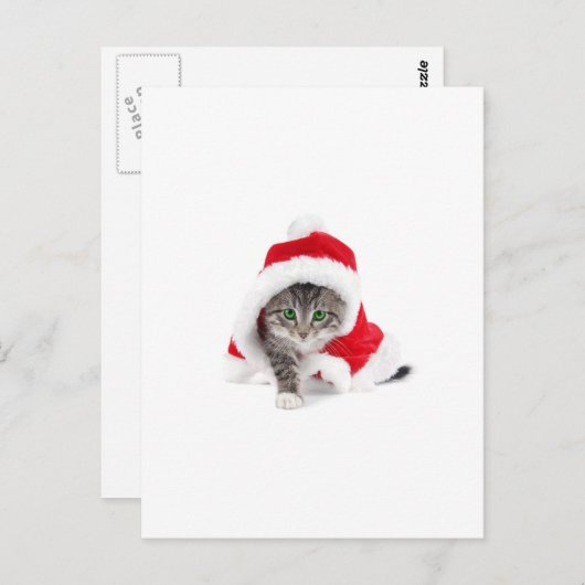 Niedlich Kitty! Postkarte (Vorne/Hinten)