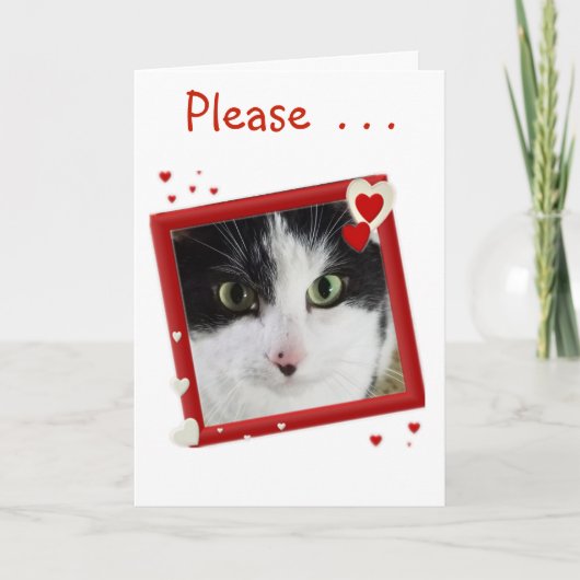 Niedlich Kitty Valentine Feiertagskarte (Vorderseite)