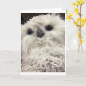 NIEDLICH KLEIN OWL SAGT *NUR DIE CHRISTMAS AN SIE* KARTE (Gelbe Blume)