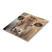 NIEDLICH KLEINER CALF FLIESE (Seite)