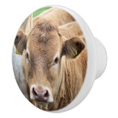 NIEDLICH KLEINER CALF KERAMIKKNAUF (Rechts)