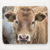 NIEDLICH KLEINER CALF MOUSEPAD (Vorne)