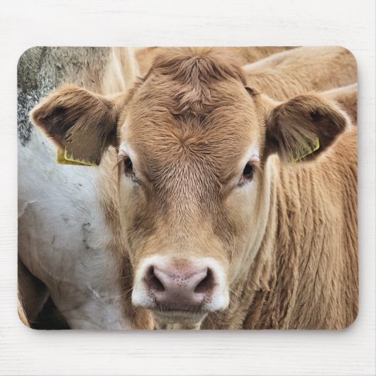 NIEDLICH KLEINER CALF MOUSEPAD (Vorne)