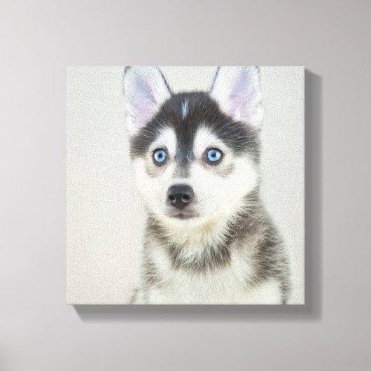Niedlich Kleiner Pomsky-Welpe Leinwanddruck (Vorderseite)