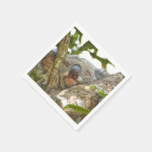 Niedlich Koala Bear Napkins Serviette (Ecke)