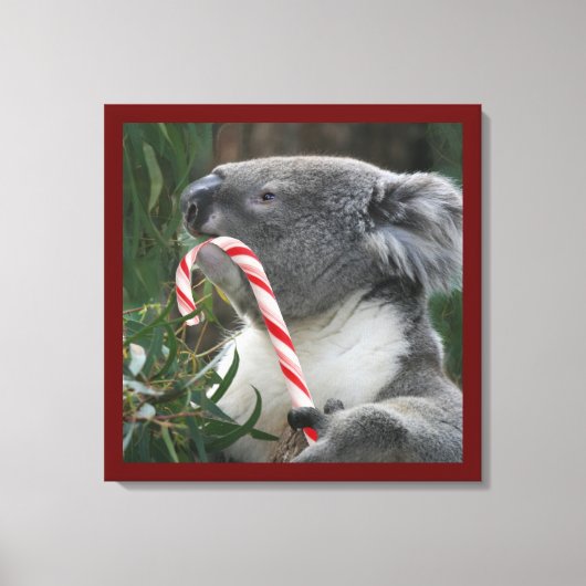 Niedlich Koala Eating Candy Cane Leinwanddruck (Vorderseite)