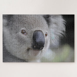 Niedlich Koala Face Marsupial Animal Nature Austra Puzzle