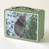 Niedlich Koala in einem Baum, der Grün isst Metall Brotdose (Rückseite)