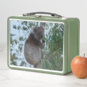 Niedlich Koala in einem Baum, der Grün isst Metall Brotdose (Beispiel)