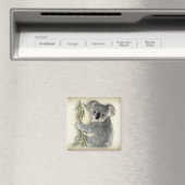 Niedlich Koala Magnet (In Situ (Geschirrspüler))