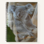 Niedlich-Koala-Notebook Notizblock (Vorderseite)