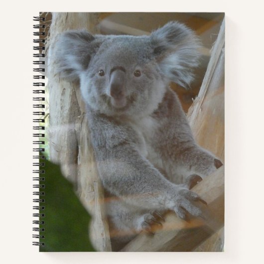 Niedlich-Koala-Notebook Notizblock (Vorderseite)
