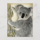 Niedlich Koala Postkarte (Vorderseite)