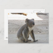 Niedlich Koala Postkarte (Vorne/Hinten)