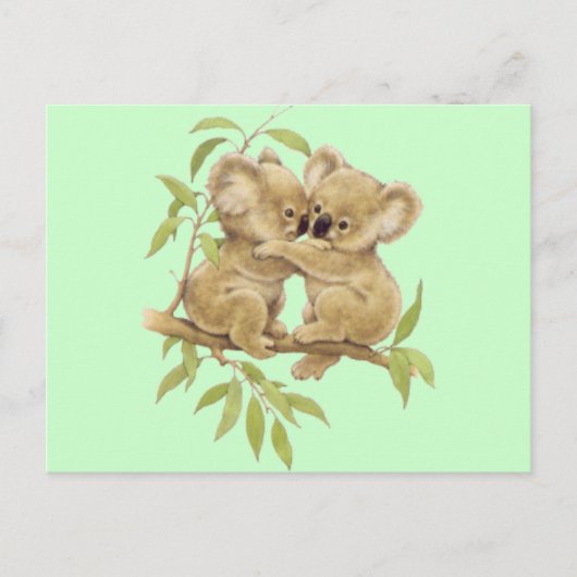 Niedlich Koalas Postkarte (Vorderseite)