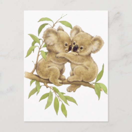 Niedlich Koalas Postkarte (Vorderseite)