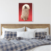 Niedlich Komondor Hund Leinwanddruck (Insitu (Schlafzimmer))