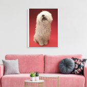 Niedlich Komondor Hund Leinwanddruck (Insitu (Wohnzimmer))