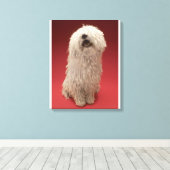 Niedlich Komondor Hund Leinwanddruck (Insitu (Holzboden))