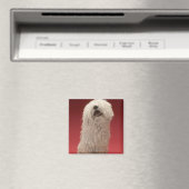 Niedlich Komondor Hund Magnet (In Situ (Geschirrspüler))
