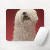 Niedlich Komondor Hund Mousepad (Mit Mouse)