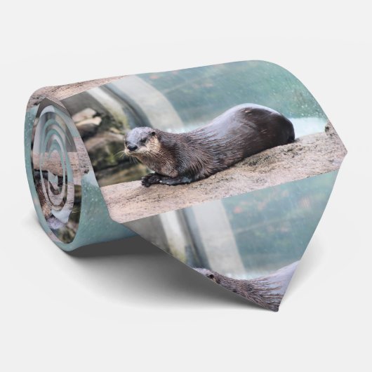 Niedlich Krawatte (Gerollt)