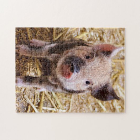 Niedlich KuneKune Piglet Puzzle (Horizontal)