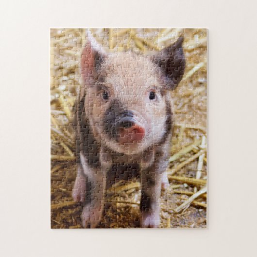 Niedlich KuneKune Piglet Puzzle (Vertikal)