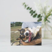Niedlich Lächeln Corgi Hund Postkarte (Stehend Vorderseite)