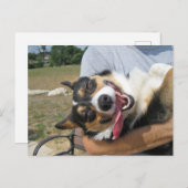 Niedlich Lächeln Corgi Hund Postkarte (Vorne/Hinten)