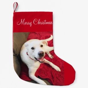Niedlich Lächeln White Labrador Mix Dog Weihnachte Kleiner Weihnachtsstrumpf