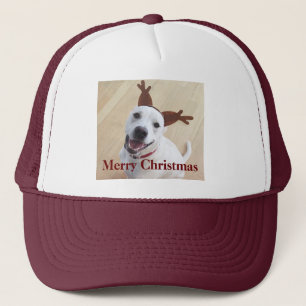 Niedlich Lächelnd Weiße Rentiere Welpen Weihnachte Truckerkappe