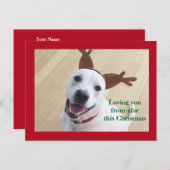 Niedlich Lächelnd Weißer Rentier Hund Roter Weihna Postkarte (Vorne/Hinten)