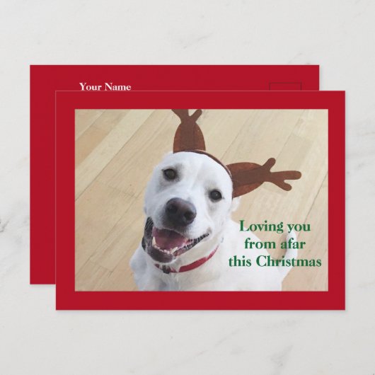 Niedlich Lächelnd Weißer Rentier Hund Roter Weihna Postkarte (Vorne/Hinten)