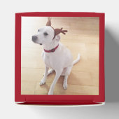 Niedlich lächelnd Weißer Rentier Hund Weihnachten Geschenkschachtel (Oben)