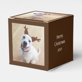 Niedlich lächelnd Weißer Rentier Hund Weihnachtsbr Geschenkschachtel