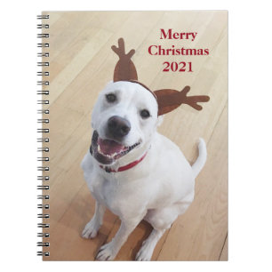 Niedlich Lächelndes White Rentier Weihnachtsbuch Notizblock