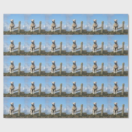 NIEDLICH LAMB GESCHENKPAPIER (Flach)